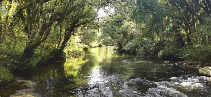 Lote/Terreno para venda tem 69000 metros quadrados em Zona Rural - Painel - Santa Catarina