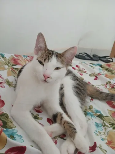 Doação 