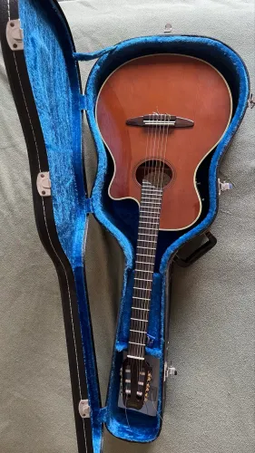 Violão Yamaha Apx10-na 