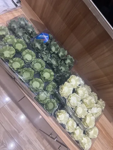 360 Forminhas de doces finos 