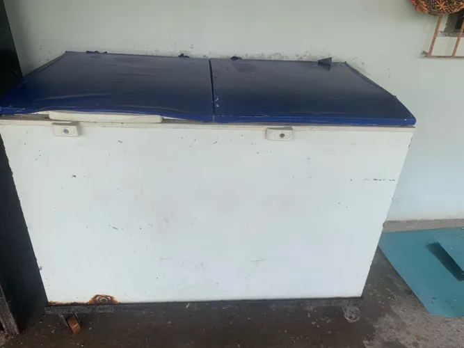 Freezer eletrolux 100L