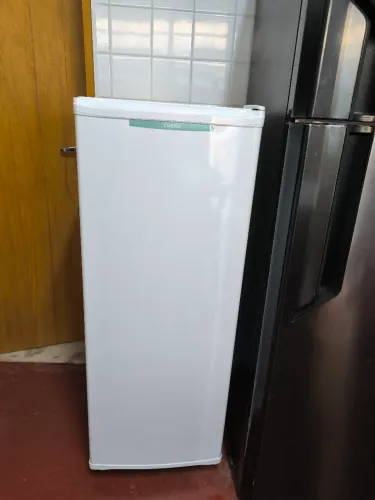 Freezer Consul vertical