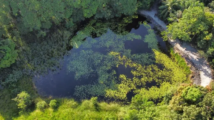 Sítio 5 Hectares com rio perene em Praia Bela - PB