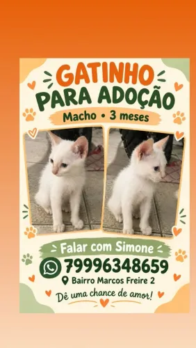 Adoção responsável 