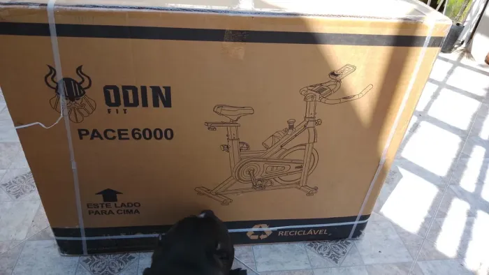 Bicicleta Ergometrica