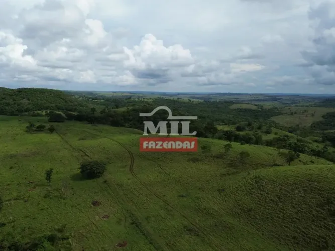Fazenda 414 alqueires (2.007 hectares) Caiapônia - Go