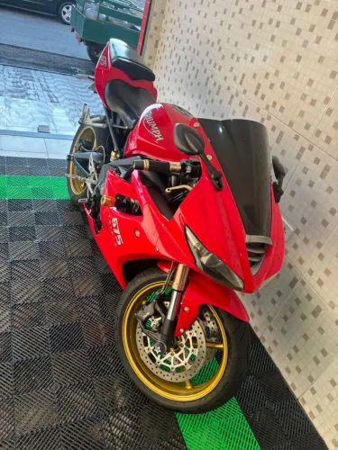 Daytona carenada