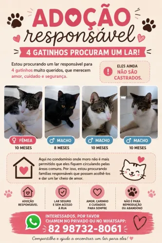 Adoção Responsável ?