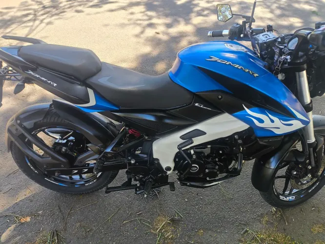 Dominar 160