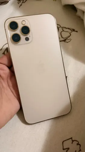 iPhone 12 Pro Max