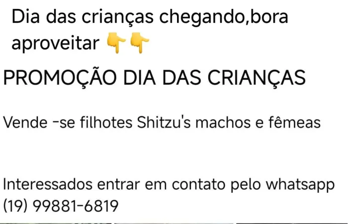 Promoção dia das crianças - venda filhotes Shitzu's