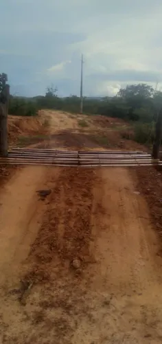 VENDO 600 HECTARES NORTE PIAUI