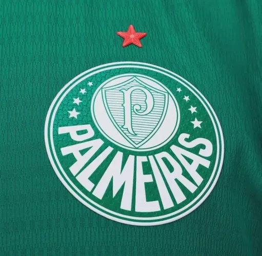 Camisa do Palmeiras Jogador 