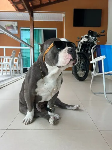 Lucky busca um relacionamento amoroso.