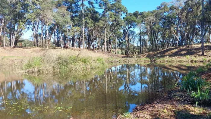 Terreno à venda em Campo Alegre  SC