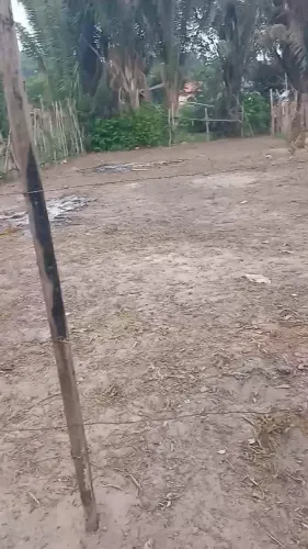 TERRENO BOM e BARATO pra vender logo .