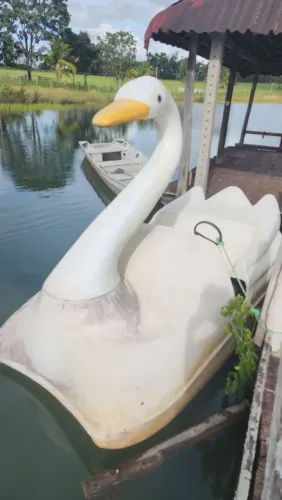 Pedalinho aquático