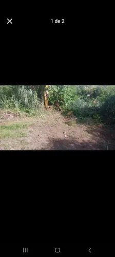 Vendo terro niteroi
