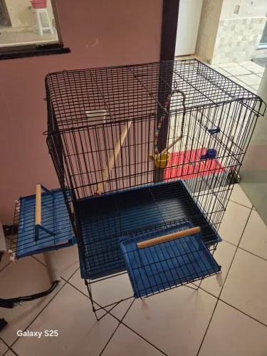 Viveiro para pet usado + acessórios (não entrego)