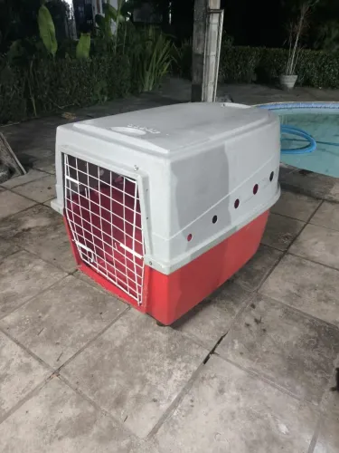 Caixa Transporte Cachorro TAMANHO PORTE GRANDE
