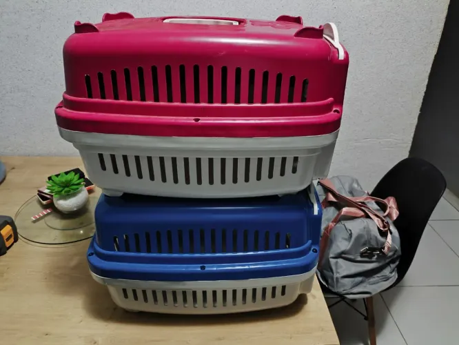 Duas Caixa pet n° 2 ate 10kg