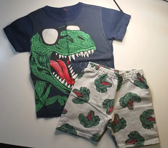 Conjunto Dinossauro Kyly 2 anos