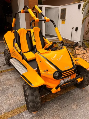 Mini Bug Fapinha