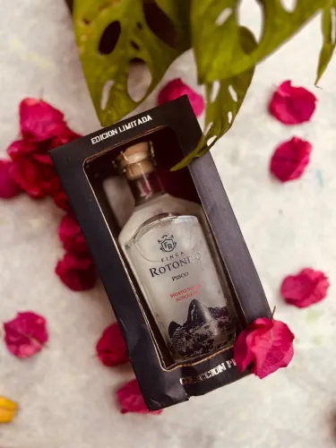 Bebida alcoólica