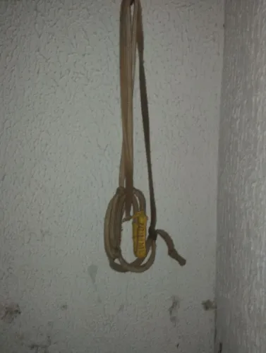Cabresto para cavalo