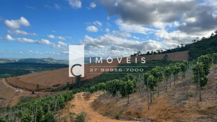 Sítio com 48 Hectares, Café, Pimenta e Irrigação em Rio Bananal ES