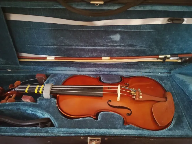 Violino Eagle VE 441 