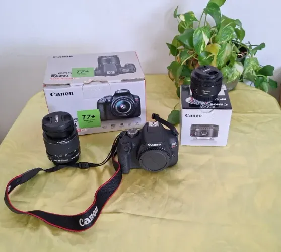 Canon Rebel T7+ (T7 Plus) + Lente Kit 18-55mm + Lente 50mm f/1.8 canon (Cinquentinha)