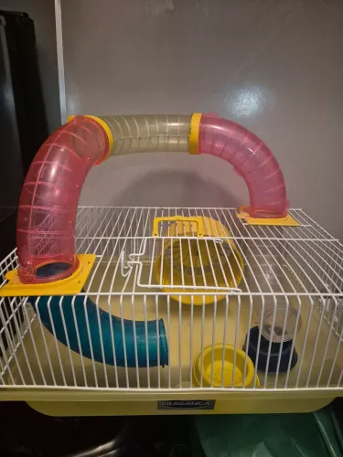 Gaiola para roedor