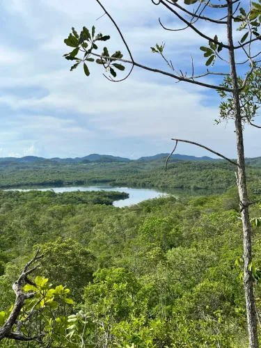 Fazenda à venda no Município de Cavalcante-GO