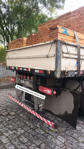 Carreta LS 12,40 grade baixa com pino porta container 
