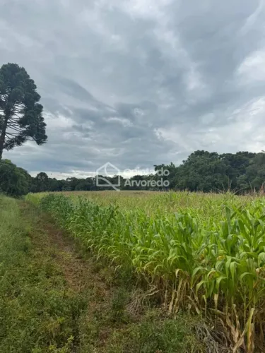 Sitio Bom Jesus