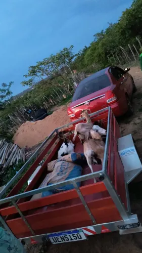 Carretinha reboque carga fazendina bruta 
