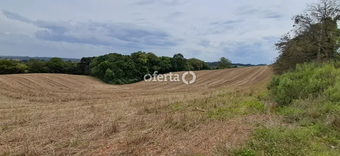 Chacara em Araucaria - Guajuvira