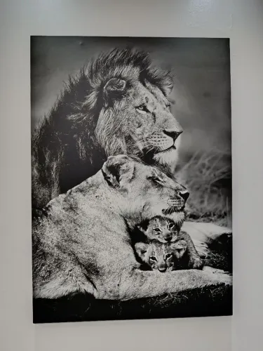 Quadro decorativo 