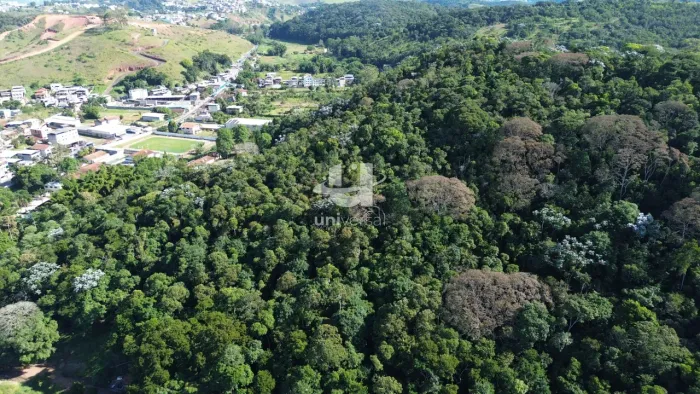 Área Urbana de 94.000 m² com várias possibilidades