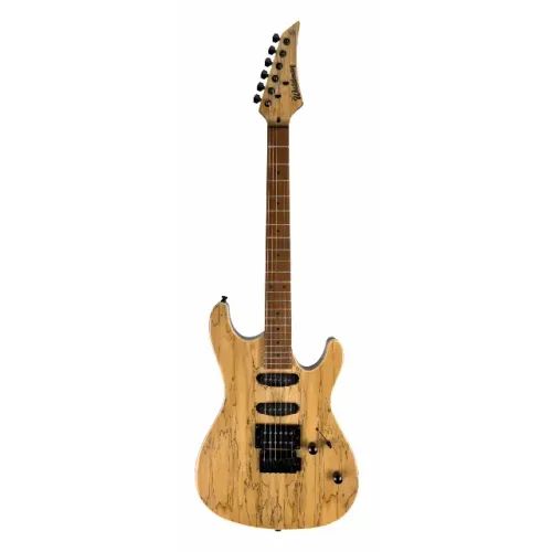 Guitarra Eletrica Waldman Com Capa WIS-160 SNT/B