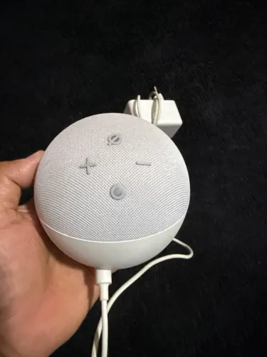 Echo dot (alexa)