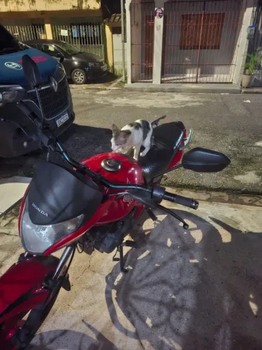 Moto pra interior , com multas 