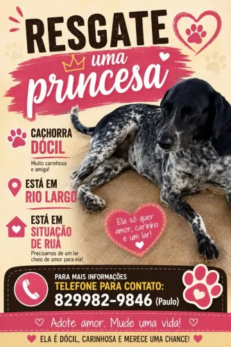 Adoção (cachorra)