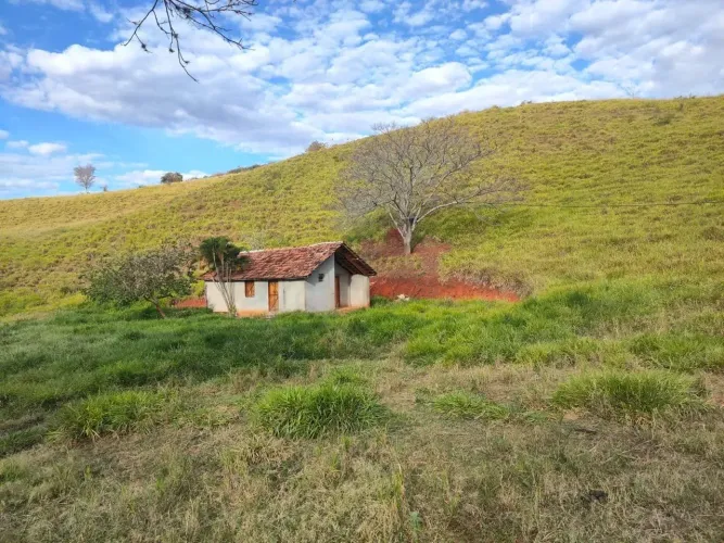Vende-se excelente fazenda  com localização privilegiada próximo a BR 356 em Cardoso Morei