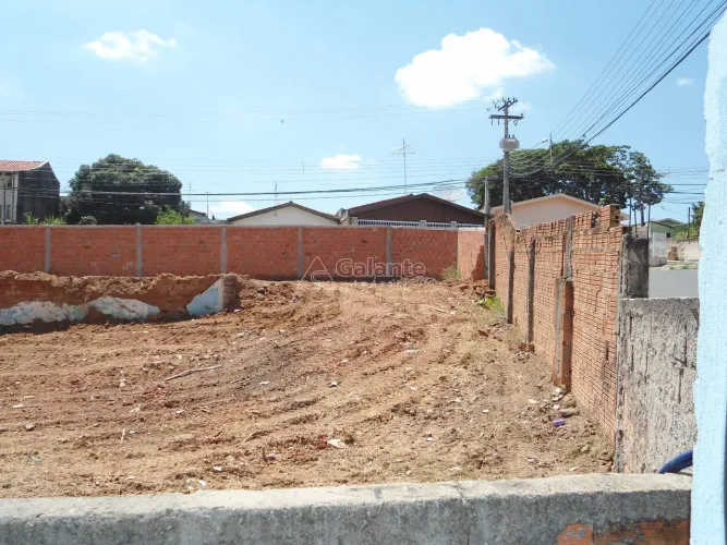 terreno - Jardim Paulicéia - Campinas