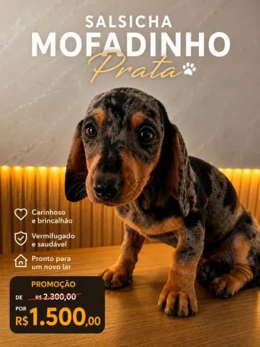 Salsicha promoção 