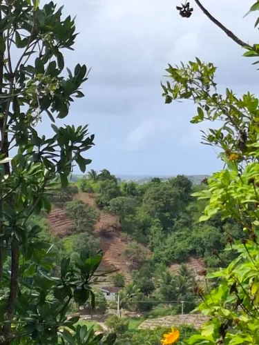 Sítio/Terreno Rural 1,5 hectares com Riacho Perene Próximo ao Asfalto - Pitimbu PB