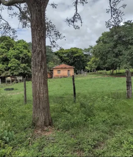 Vende-se uma excelente fazenda de 56 alqueires