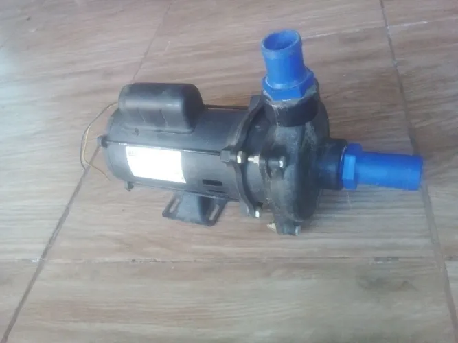 Motobomba para Piscina WDM Pumps 1,0 CV - Motor WEG Monofásico